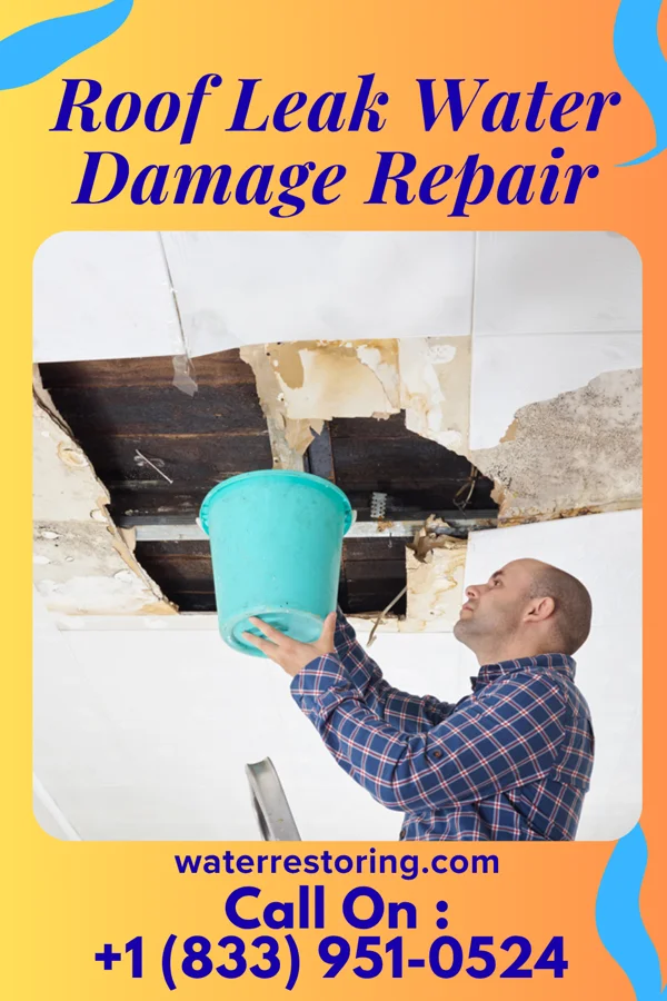 Roof Leak Water Damage Repair in Grand Ridge, FL